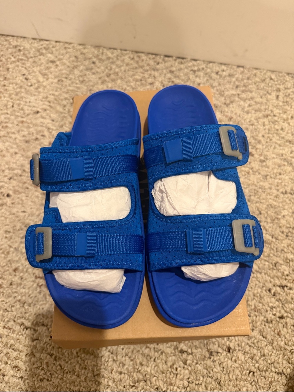 Native Shoes Men's Royal Blue Dual-Strap Slide Sandals